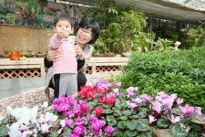 서산농기센터 원예치료실 주말 300명 발길 인기몰이