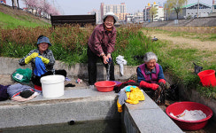 ‘문창동 빨래터’ 보존 여부 갈림길