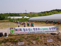 대전 온천2동서 모내기 체험