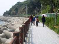 2010 대충청방문의 해 ‘거북이 투어’-보령