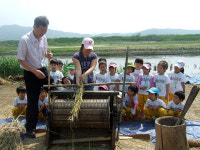공주시, 11-13일 목천리서 우리밀 축제