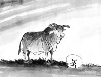 소의 친척들 ⑦