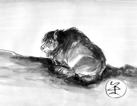 소의 친척들 ⑫