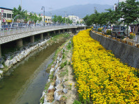 충주 교현천, 자연생태하천 탈바꿈