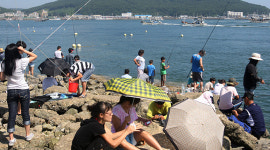태안 ‘황금어장’ 강태공 북적