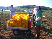 태안군, 맞춤형 농기계 개발