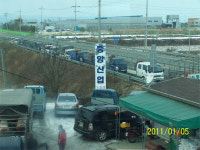 구제역 파동 현장을 가다