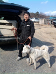 ⑨유기견 구조하는 이진호·김명덕씨
