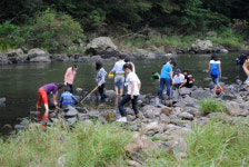하천 생태체험학습