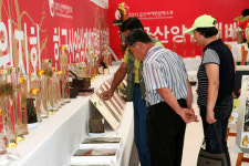 산양삼 전시관 막판 인기