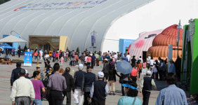 인삼엑스포 식지않는 인기