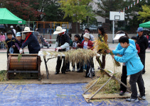 대전 원평초서 추수행사
