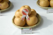 아산 음봉배 최고 외관상