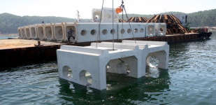 태안 앞바다 ‘바다목장’ 된다