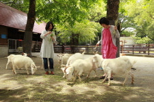 힘겨운 삶에 지친 도시인 일상 탈출