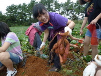 당진 정보화마을은 부자마을