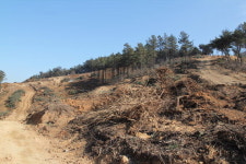 미래저축銀 사태 산사태 부르나