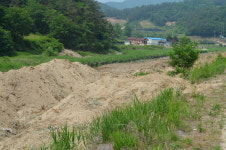 봉황천 마구잡이 준설 몸살