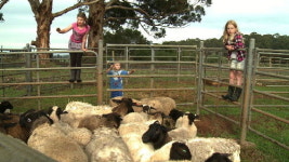 호주 무지개 목장 꼬마남매 이야기