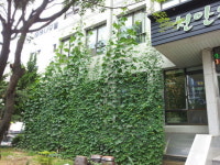 천안 문성동주민센터 녹색커튼 설치