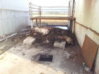 아산 영인면 폐사가축 방치