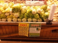 美 식탁 오르는 증평 항암배추