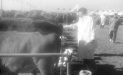 충남농협 축산인 한마음 대회 성료