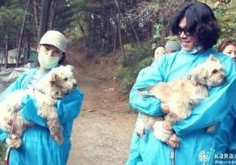 이효리 이상순 봉사 