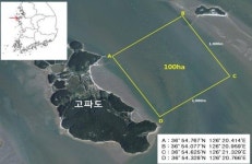서산 가로림만 해상 바다숲 생긴다
