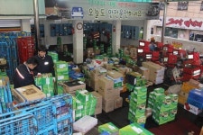 세종우체국 첫 설맞이 분주
