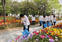 대전 유성구 온천축제 대비 환경정화