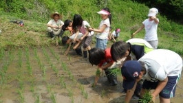 ■ 공주 꽃피는 학교 대전학사 자연과 합일 온전한 참사람 기른다