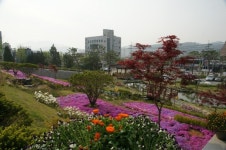 생기 가득한 금왕읍사무소로 놀러오세요