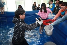 직접 보고 만지는 우리물고기… 예당 생태체험관 인기
