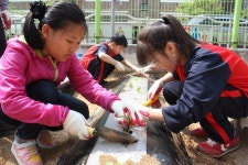 어린이 농부들 학교텃밭서 원예활동