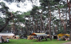 여유를 찾아… 자연속 힐링캠핑