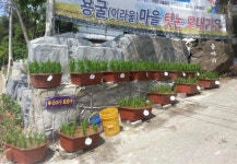 공주시, 의당면 덕학리 용굴마을 텃논배미 분양 화제