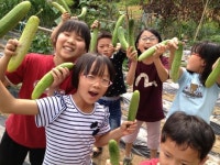 공주덕암초, 우리가 키운 오이에요!