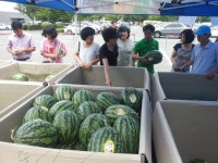 음성 농특산물 울산서 인기몰이