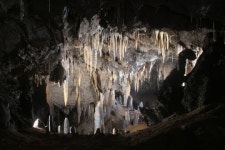 단양 천연동굴 여름 휴가철 이색피서지로 주목