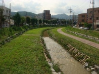 천안 4대 하천 물고기 뛰노는 생태물길 만든다