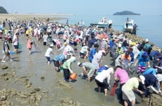서산 삼길포서 27일 독살 체험축제 개최