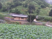 공주시 신풍면 선학리, 연꽃향기 가득한 황토방 펜션 인기
