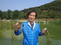 명노환 참게 대량양식-목장화사업 연계 친환경 생태체험 관광지 만들것