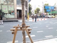 “걷기 좋은 거리 만든다더니”…대전 중교로 잇단 무단횡단 몸살