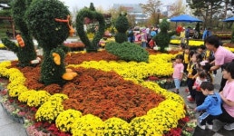 대전 유림공원 내일부터 국화향기 가을축제