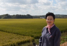 친환경 농산물 직거래사업 성공 마을공동체 구축 지역사회 공헌