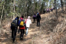 태안반도 솔향기길, 가을 산행길로 각광