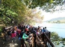 괴산 산막이옛길 인산인해, 이번주 단풍절정