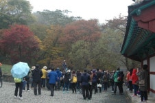 부여군, 명사와 함께하는 백제역사문화탐방 대성료